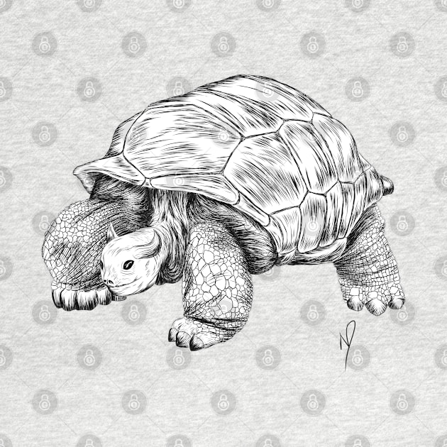 Bull Tortoise by Ndanceart